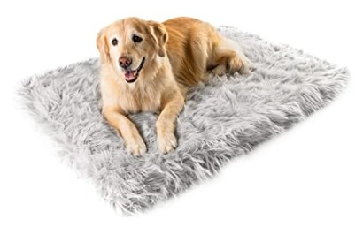 Golden retriever lying on a gray fluffy rug