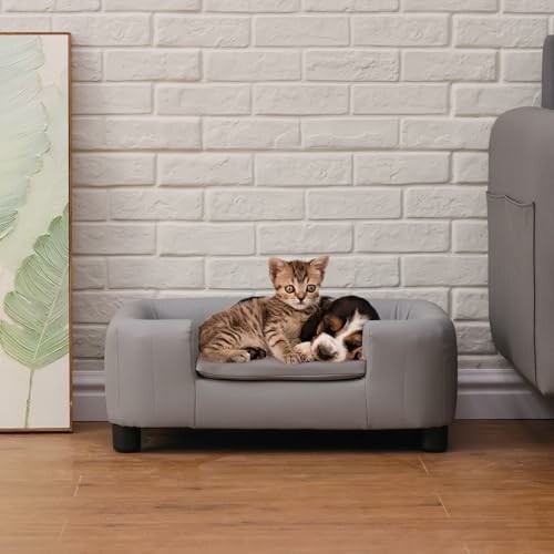 Kitten and puppy resting on a small gray sofa