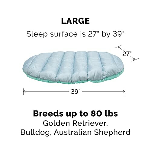 Large dog bed dimensions for breeds up to 80 lbs.