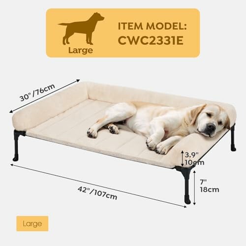 Large dog sleeping on a beige elevated dog bed with dimensions labeled.