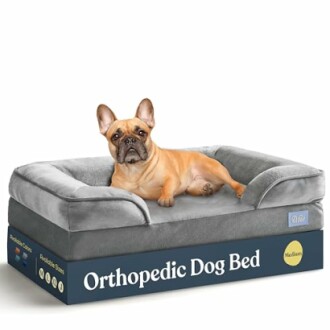 French Bulldog on orthopedic dog bed with gray cushioning