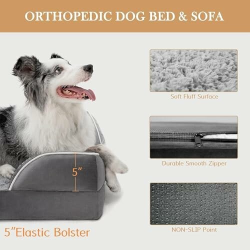 Orthopedic dog bed and sofa with fluffy surface, zipper, and non-slip points.