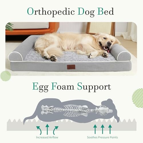 Dog lying on orthopedic bed with egg foam support illustration.