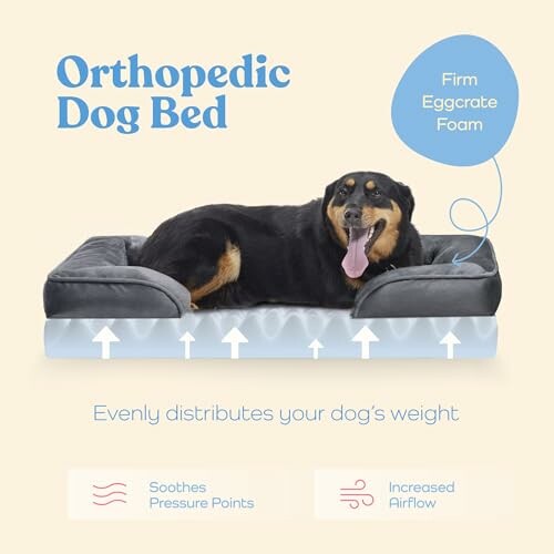 Dog lying on an orthopedic bed with firm eggcrate foam.