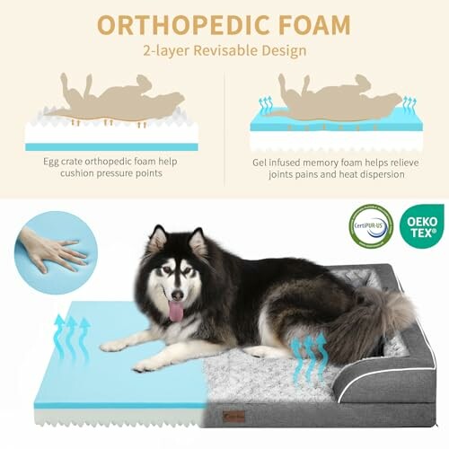 Dog lying on orthopedic foam bed with two-layer design.