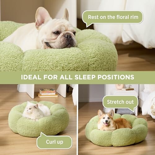 Pets resting in green plush beds, ideal for all sleep positions.