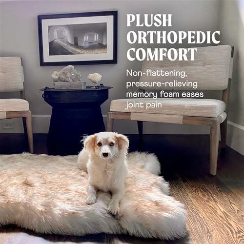 Dog lying on plush orthopedic bed in cozy room.