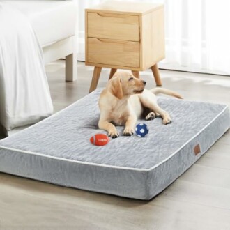 Puppy lying on a dog bed with toys nearby.