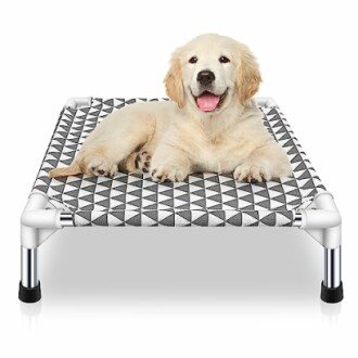 Golden retriever puppy on an elevated dog bed with geometric pattern.