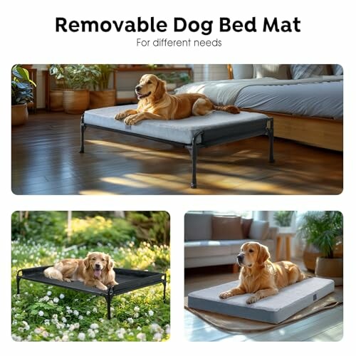 Veehoo Elevated Dog Bed