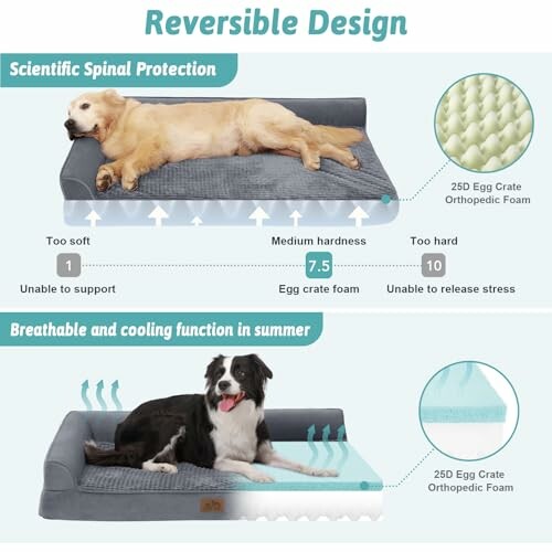 Infographic showing reversible dog bed design with scientific spinal protection and cooling features.