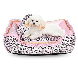 Small white dog in a pink leopard print pet bed